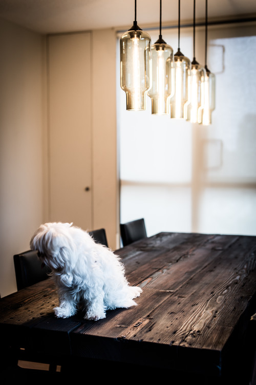 Pharos Modern Pendant Lights in Smoke