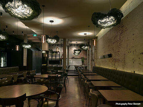 Cutler and Co Dining Room Lighting by Niche Modern
