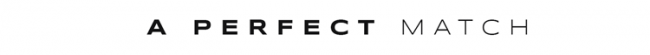 aperfectmatch