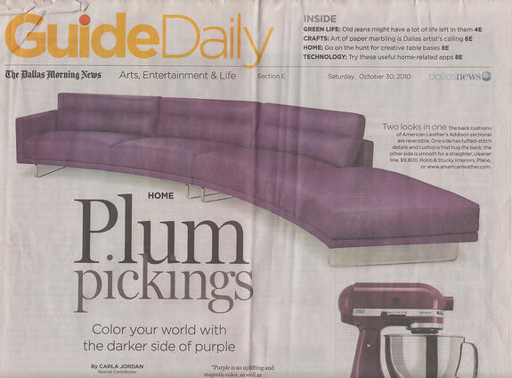 Niche Modern included in a feature article in the Dallas News