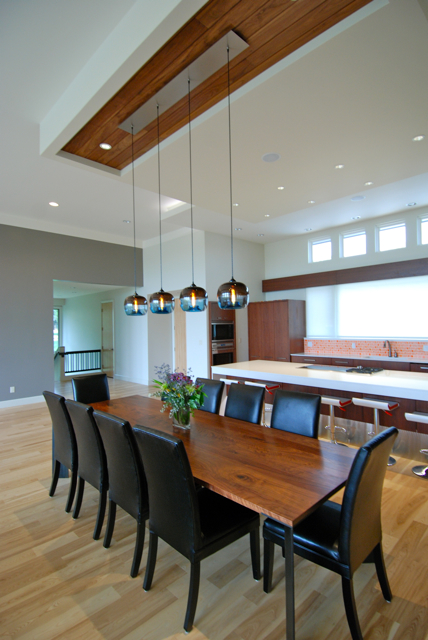 Niche Modern Encalmo-Stamen Pendants in a Private Residence at Lake Alvamar