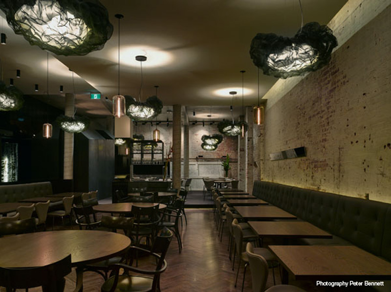 Cutler and Co Dining Room Lighting by Niche Modern