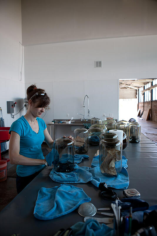 Annie works as one of our two cold working technicians