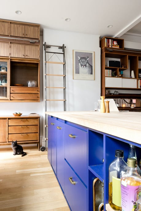 Cat in Eclectic Brooklyn Home