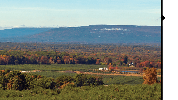 modern lighting company first location in Plattekill, New York
