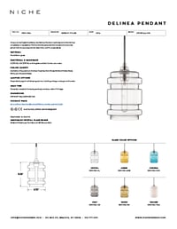 Delinea Tear Sheet